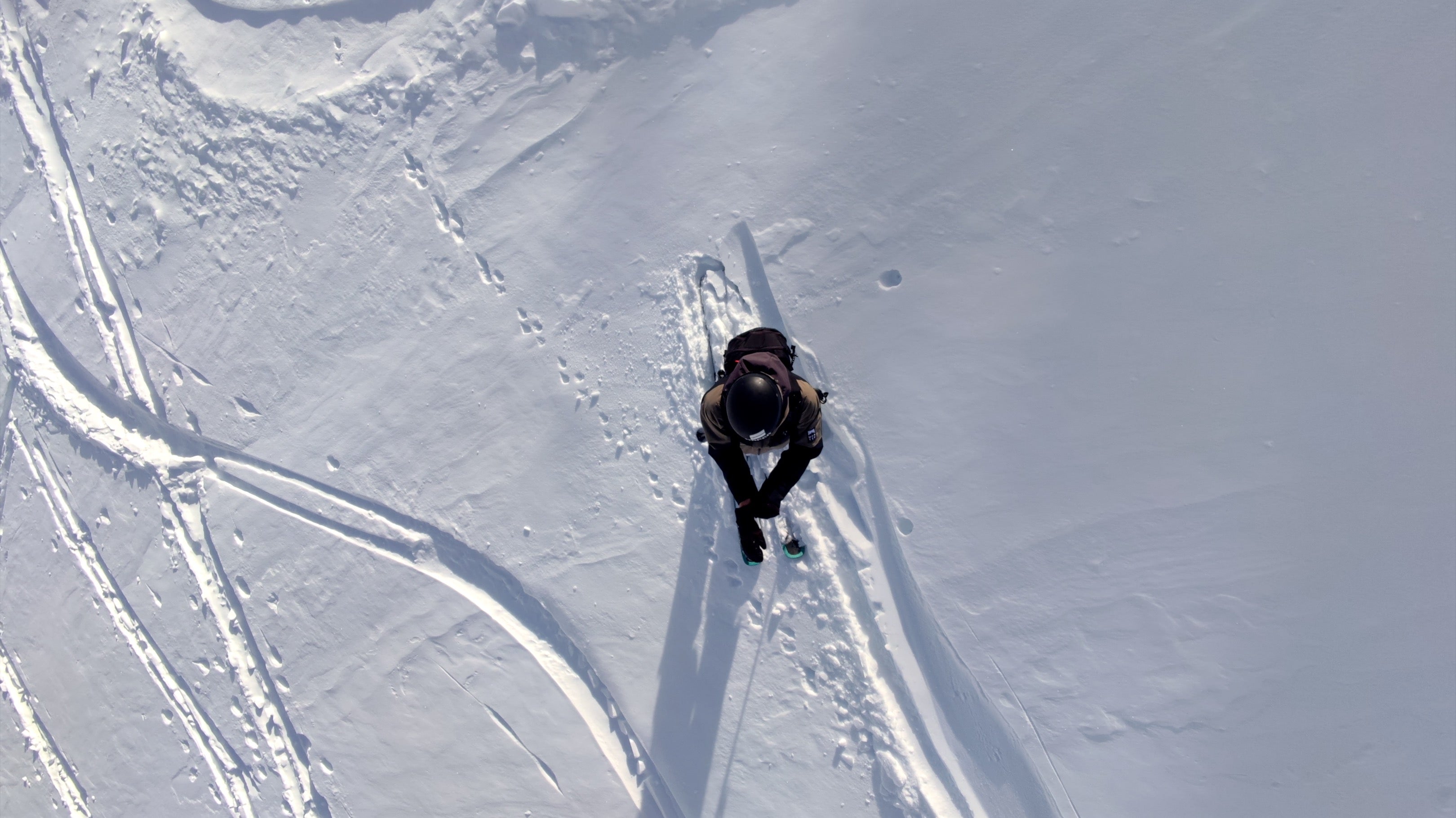 Bird’s Eye